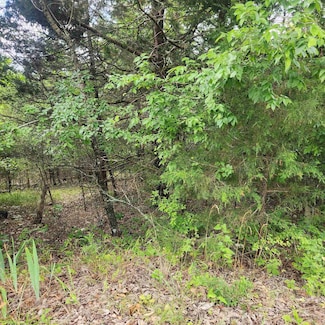 4 Topez Cir, Cherokee Village, AR 72529