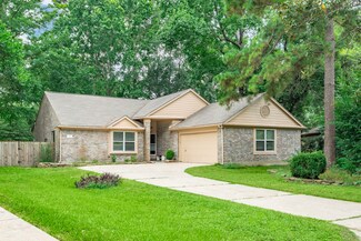 194 Velvet Leaf Place, Spring, TX 77380