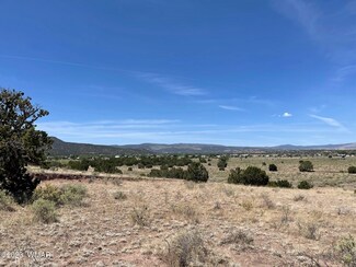 0 Rogers Ranch Rd, Springerville, AZ 85938