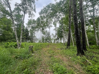 1 Puffins Ln, MacHiasport, ME 04655