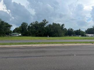 0 Highway 17, Bowling Green, FL 33834