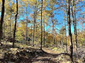 0 Rd Unit LotWP001, Little Valley, NY 14755