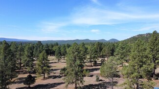 17 Simms Ave, Luna, NM 87824
