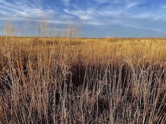 0 Tbd County Rd W, Eads, CO 81036
