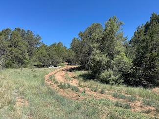 58 Candelaria Rd, Tijeras, NM 87059
