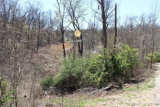 Lots 6, 7, 8 Lillie Bug Ln, Sunrise Beach, MO 65079
