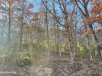 0 Holiday Ln, Jellico, TN 37762