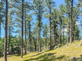 Tract Campfire Three Meadows Rd Unit Lakota Lakes, East Custer, SD 57751