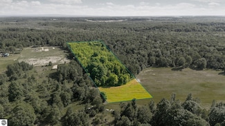 Parcels A-D Irvin Rd, Kingsley, MI 49649