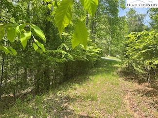 Lot 66 Daves Connector, Jefferson, NC 28640