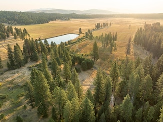 465-577 Elysian Valley Rd, Janesville, CA 96114