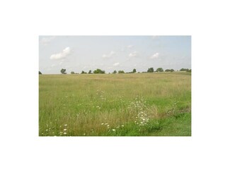 105 Walnut St, Garden City, MO 64747