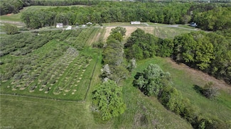 0 Joyce Acres Rd, Asbury, NC 27030