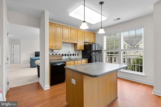 803 Reserve Champion Dr Unit 201, Rockville, MD 20850