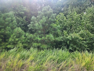 0 Forest Ridge Dr Unit 589216, Newberry, SC 29108