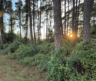 8302 Montalban St, Navarre, FL 32566