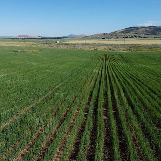 TBD Gunnell Rd, Soda Springs, ID 83276