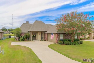 13277 Babin Mill Dr, Gonzales, LA 70737