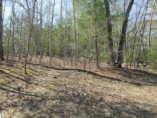 00_VL Onondaga Trail Unit 1006-7, Churchill Township, MI 48661