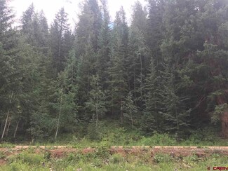 0 Aspen Ln Unit 743112, Pitkin, CO 81241