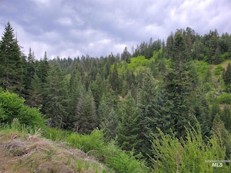 TBD Clearwater Ave, Stites, ID 83552