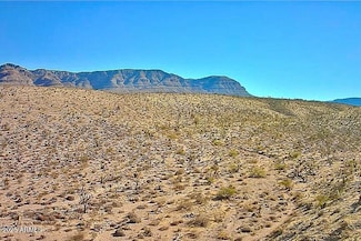 126 Antelope Ave Unit 126, Meadview, AZ 86444