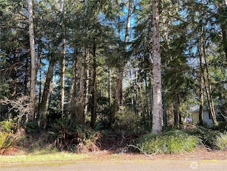 336 Hyde Ct NE, Ocean Shores, WA 98569
