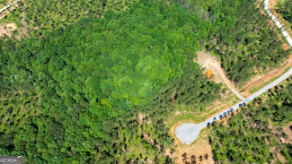 LOT 5 Farm Club Ct, Newnan, GA 30263