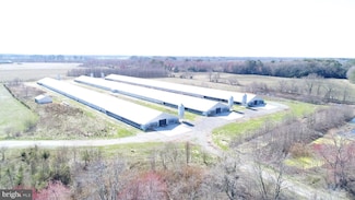 4890 Drawbridge Rd, Cambridge, MD 21613