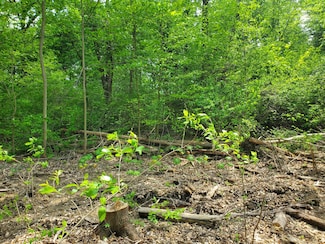 0 Summer Crest Dr Unit Lot 7 224014733, Berlin Township, OH 43021