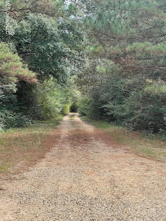 0 Wildwood Dr Unit 4129366, Lumberton, MS 39455