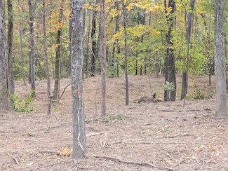 0 Lambert St, Shreveport, LA 71119