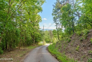0 N Cunningham Rd, Seymour, TN 37865
