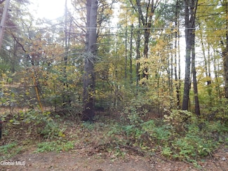 L1 Vincek Ln, Wilton, NY 12866