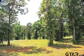 805 Stone Chimney Rd (Lot 4 Cr 3608), Bullard, TX 75757