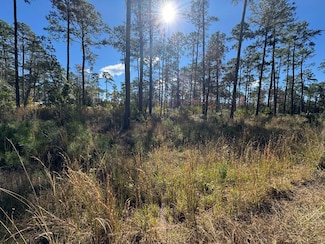 055 Private Road 6028, Brookeland, TX 75931