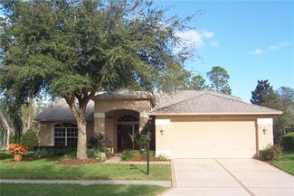 18702 Bellevista Ct, Hudson, FL 34667