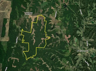 0 Richardson Landing Rd Unit 10161338, Drummonds, TN 38023