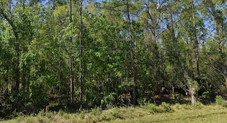 0 Quail Ranch Rd Unit 23449189, New Smyrna Beach, FL 32168