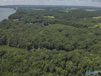 49.59 +/- Acres Snake Rd, Athens, AL 35611