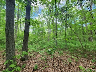0 Robinson Rd, Goochland, VA 23063