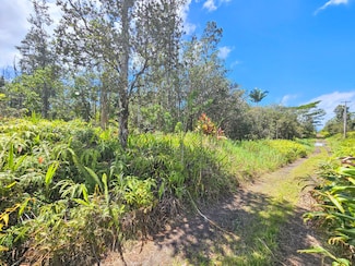 0 Road 9 (Koloa Maoli) Unit 719502, Mountain View, HI 96760