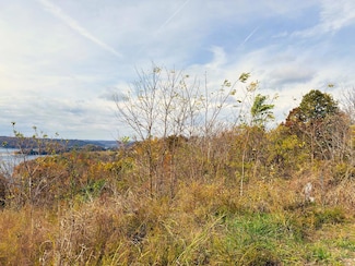 5F 5f Trout Ln, Hilham, TN 38568