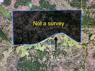 0 County Road 750, Dumas, MS 38625