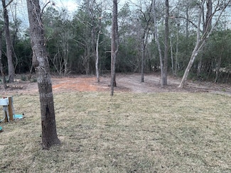 14942 Colt Ln, Willis, TX 77378