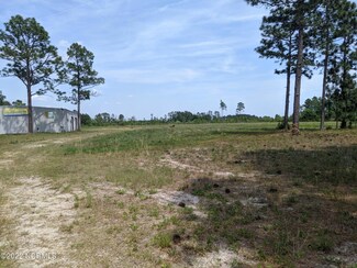 2332 Blueberry Rd, Currie, NC 28435