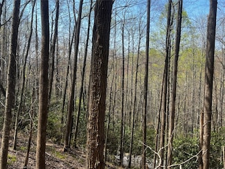 94 Black Oak Dr, Sapphire, NC 28774