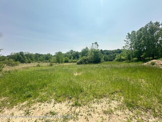 4975 W Cutler Rd, de Witt, MI 48820