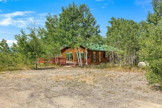 318 Foxtail Ln, Fairplay, CO 80440