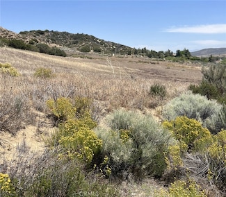8201 Elizabeth Lake Rd, Leona Valley, CA 93551